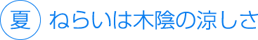 ねらいは木陰の涼しさ